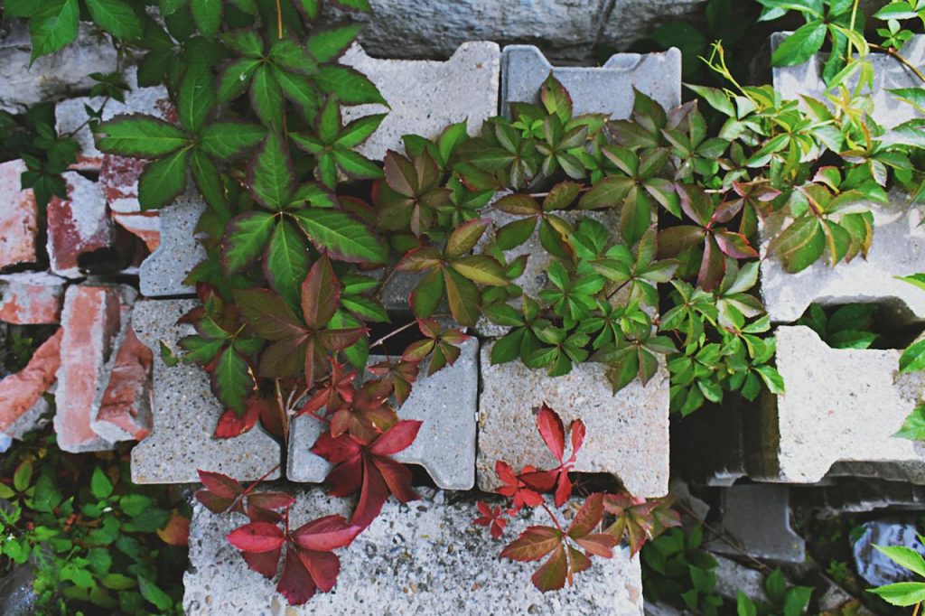 pierres dans votre jardin